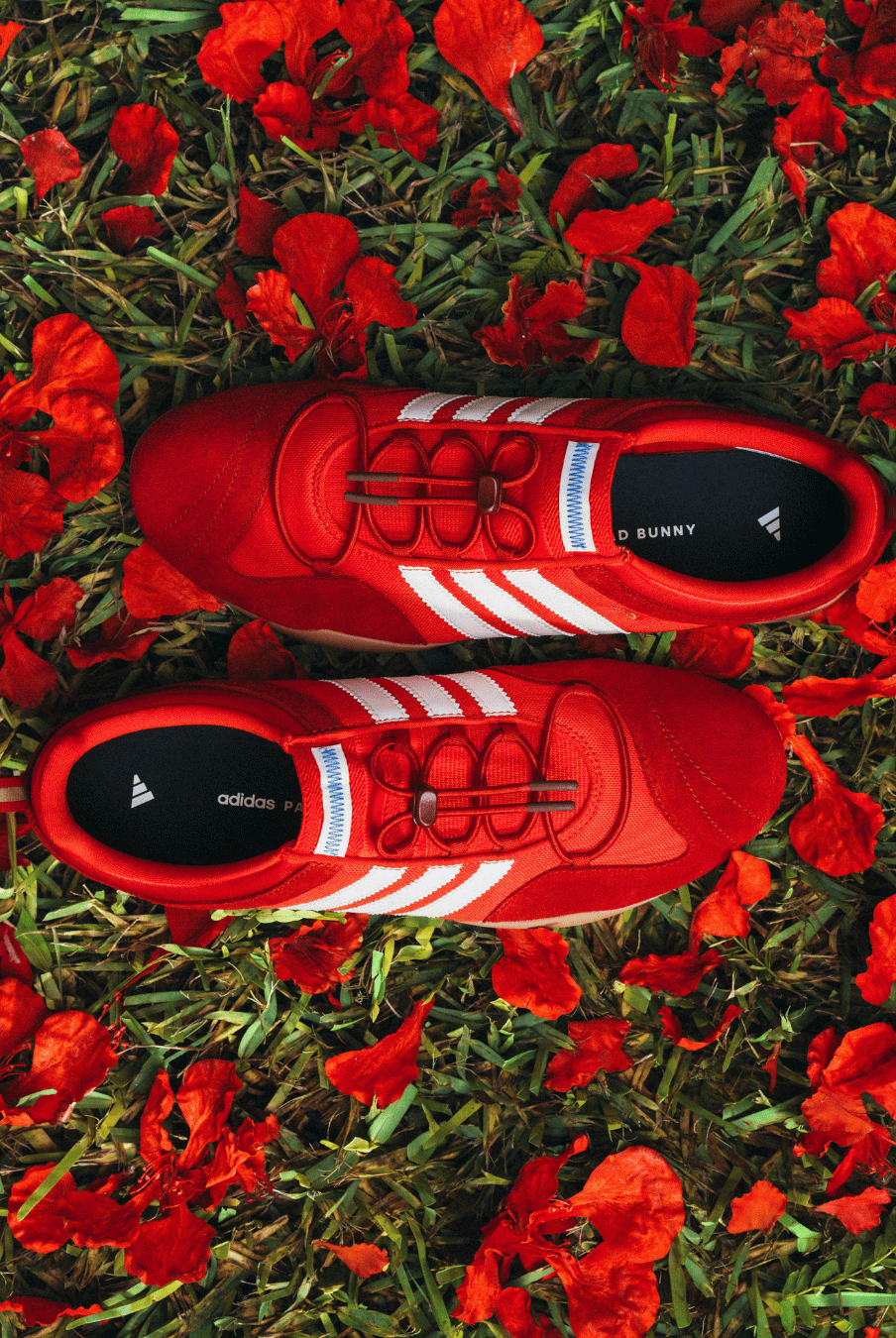 adidas Originals x BAD BUNNY