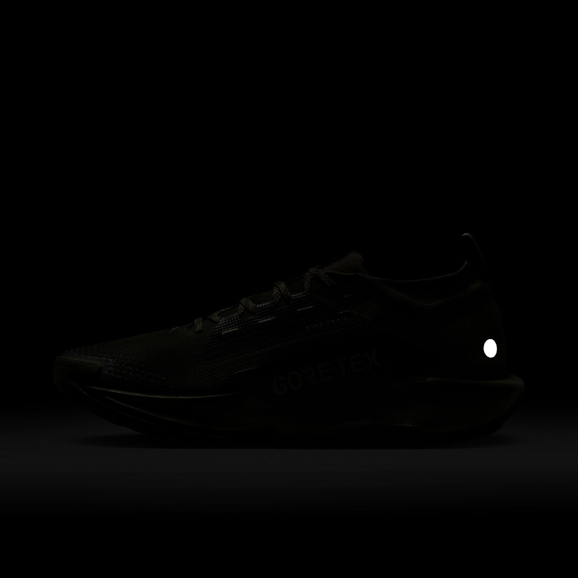 Pegasus Trail 5 GORE-TEX SP - INVINCIBLE