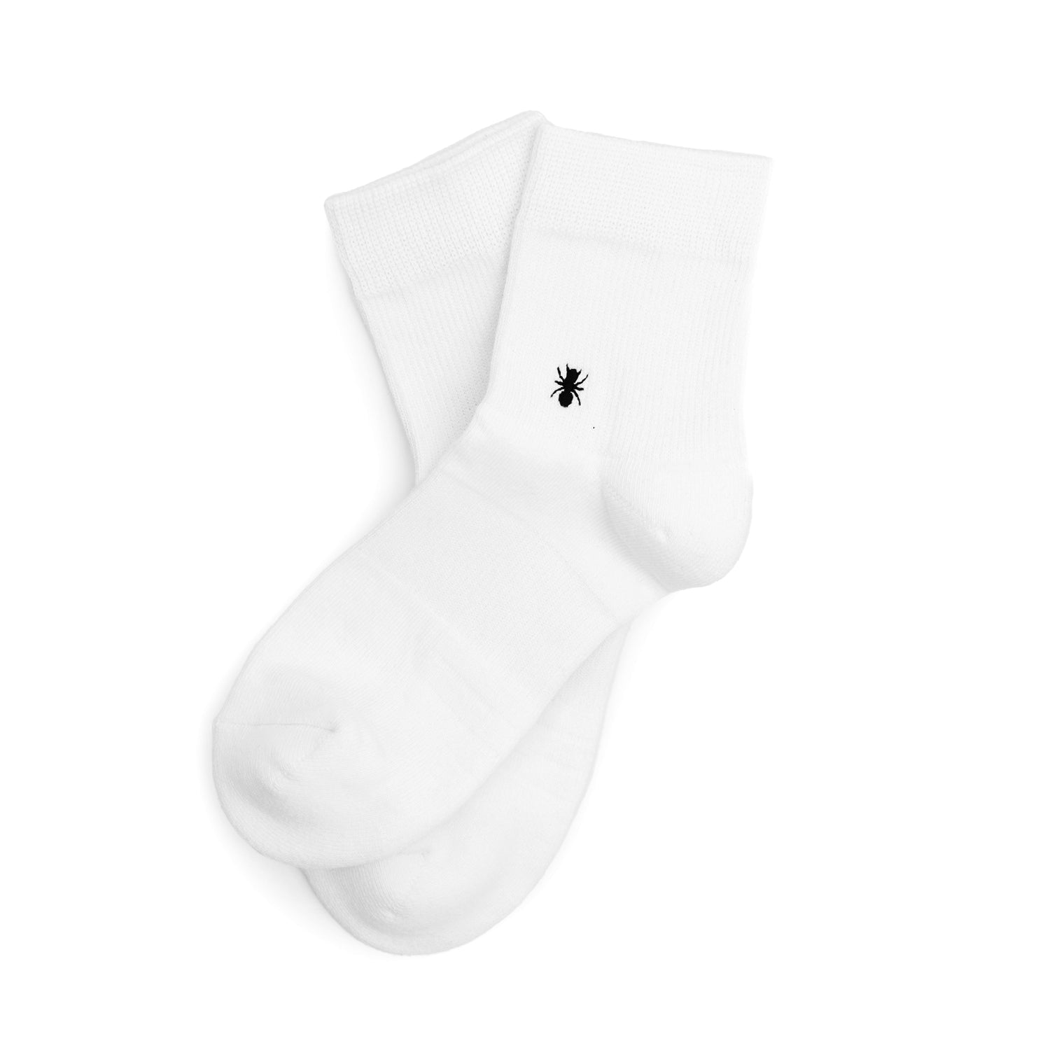 3-Pack Essential Ankle Set - INVINCIBLE