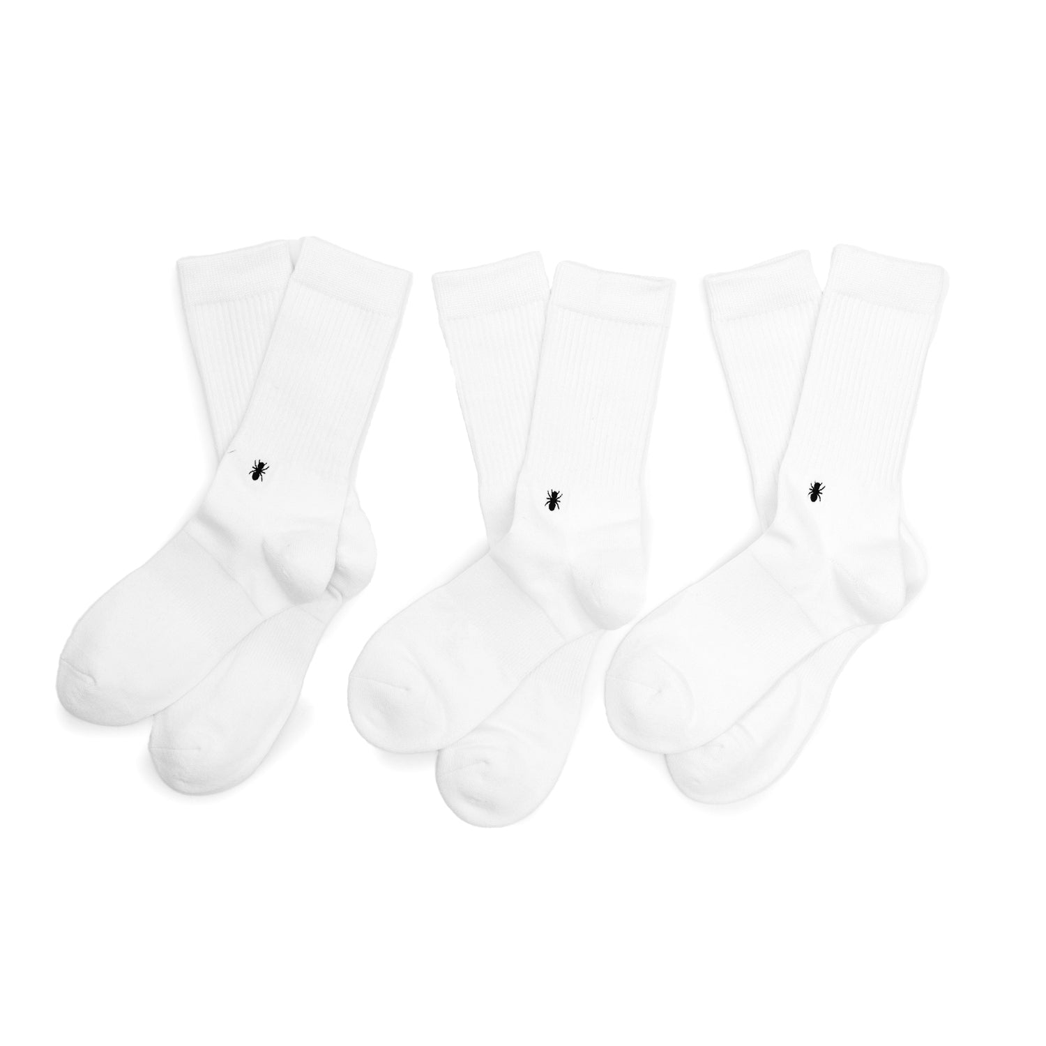 3-Pack Essential Crew Set - INVINCIBLE