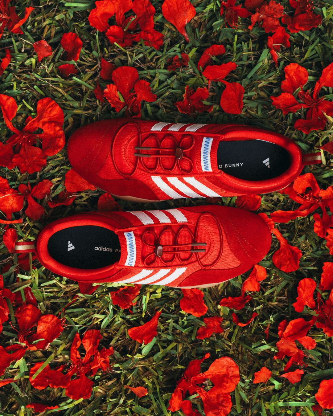 adidas Originals x BAD BUNNY