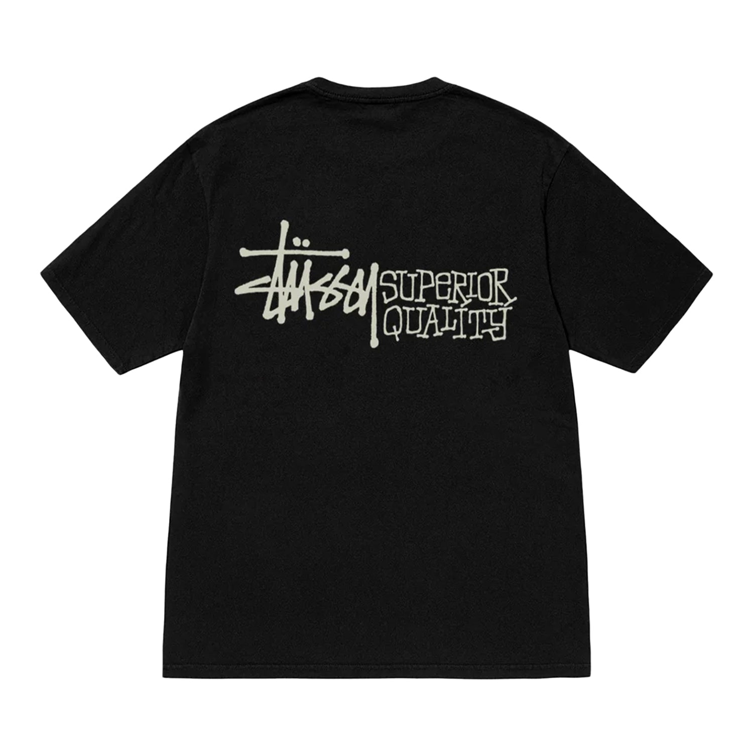 Superior Quality Pig. Dyed Tee - INVINCIBLE