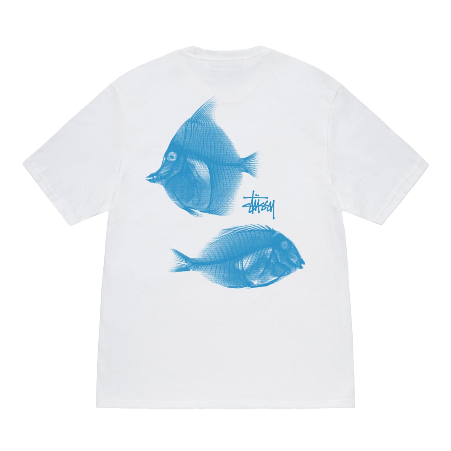 X-Ray Fishin Tee - INVINCIBLE