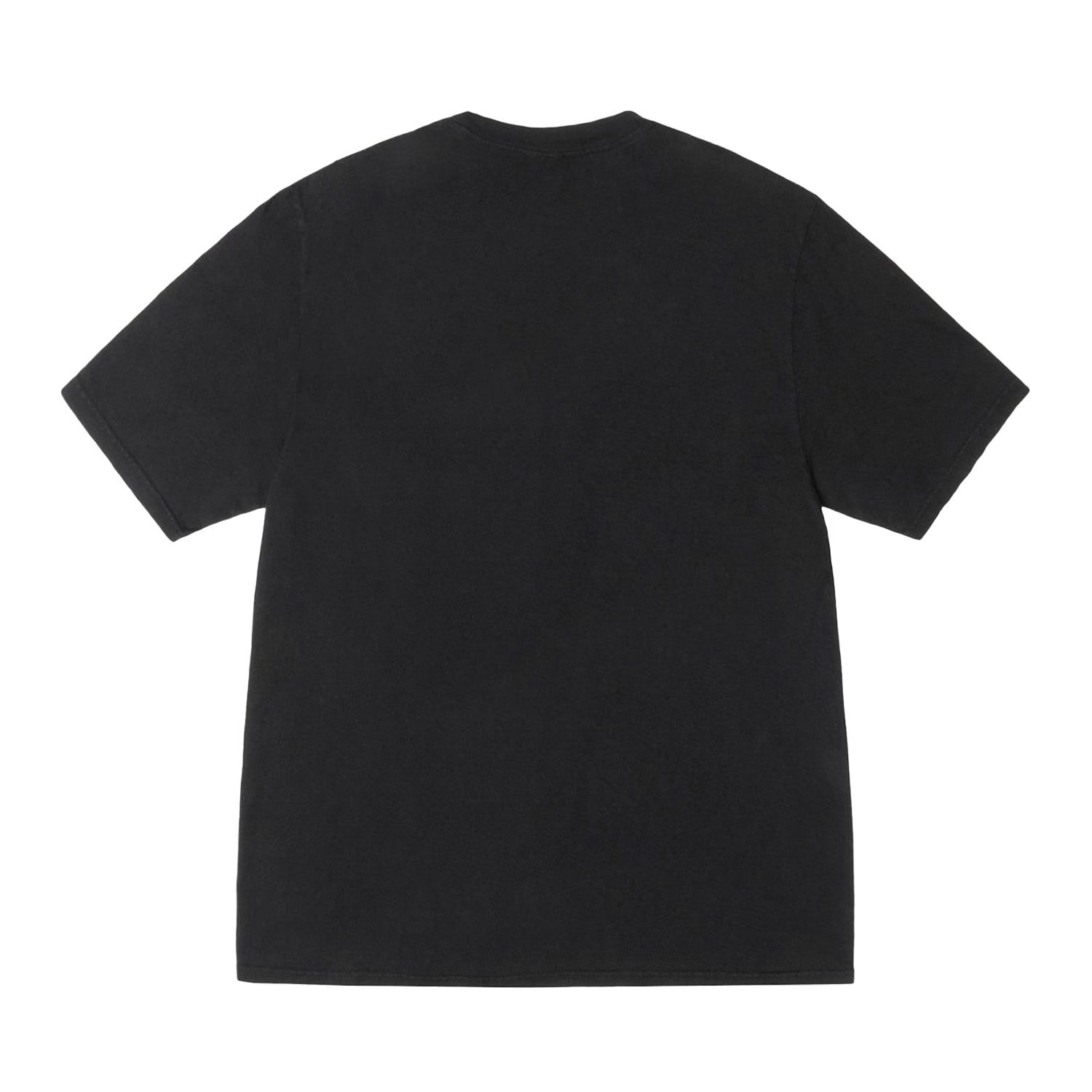 Arched Pig. Dyed Tee - INVINCIBLE