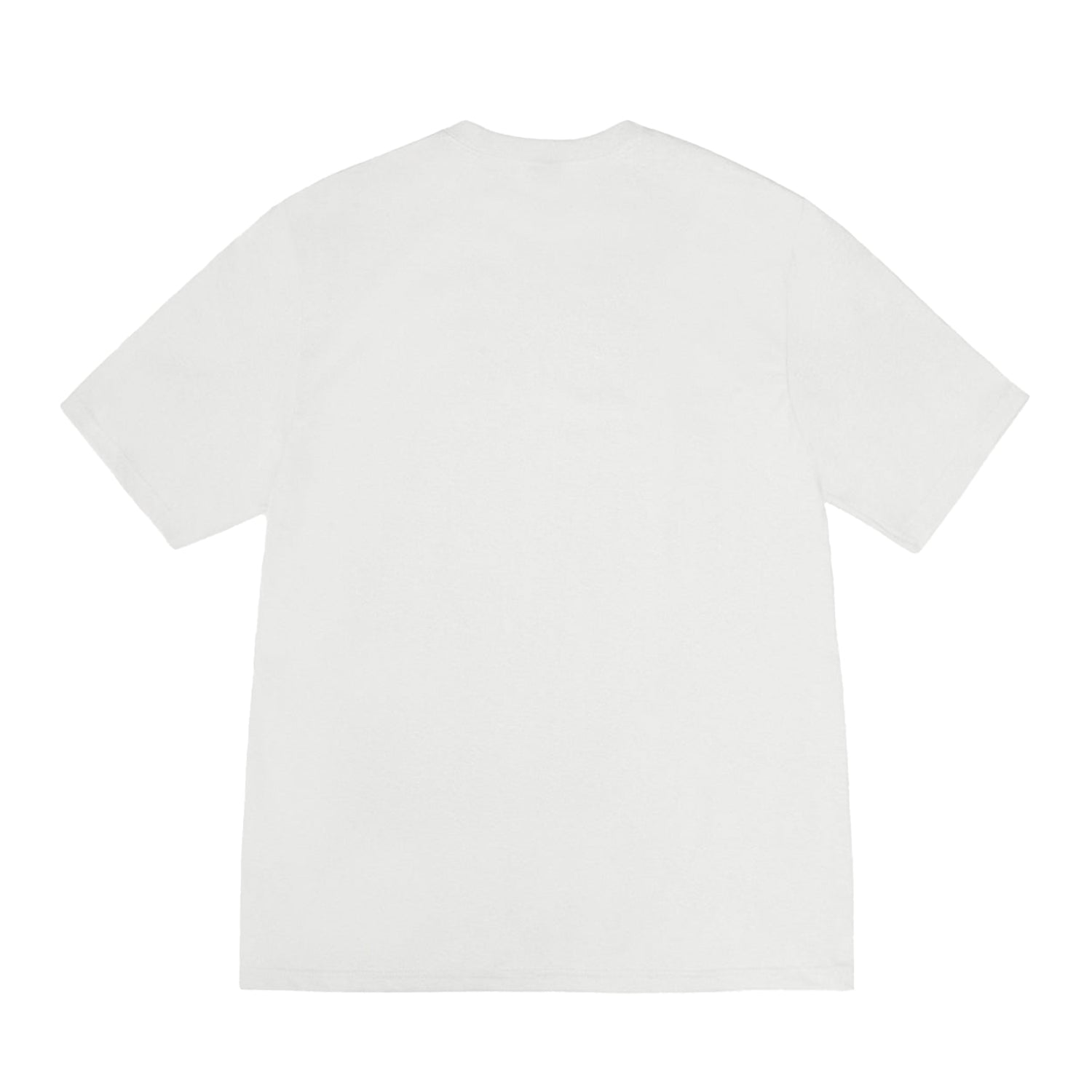 Arched Pig. Dyed Tee - INVINCIBLE