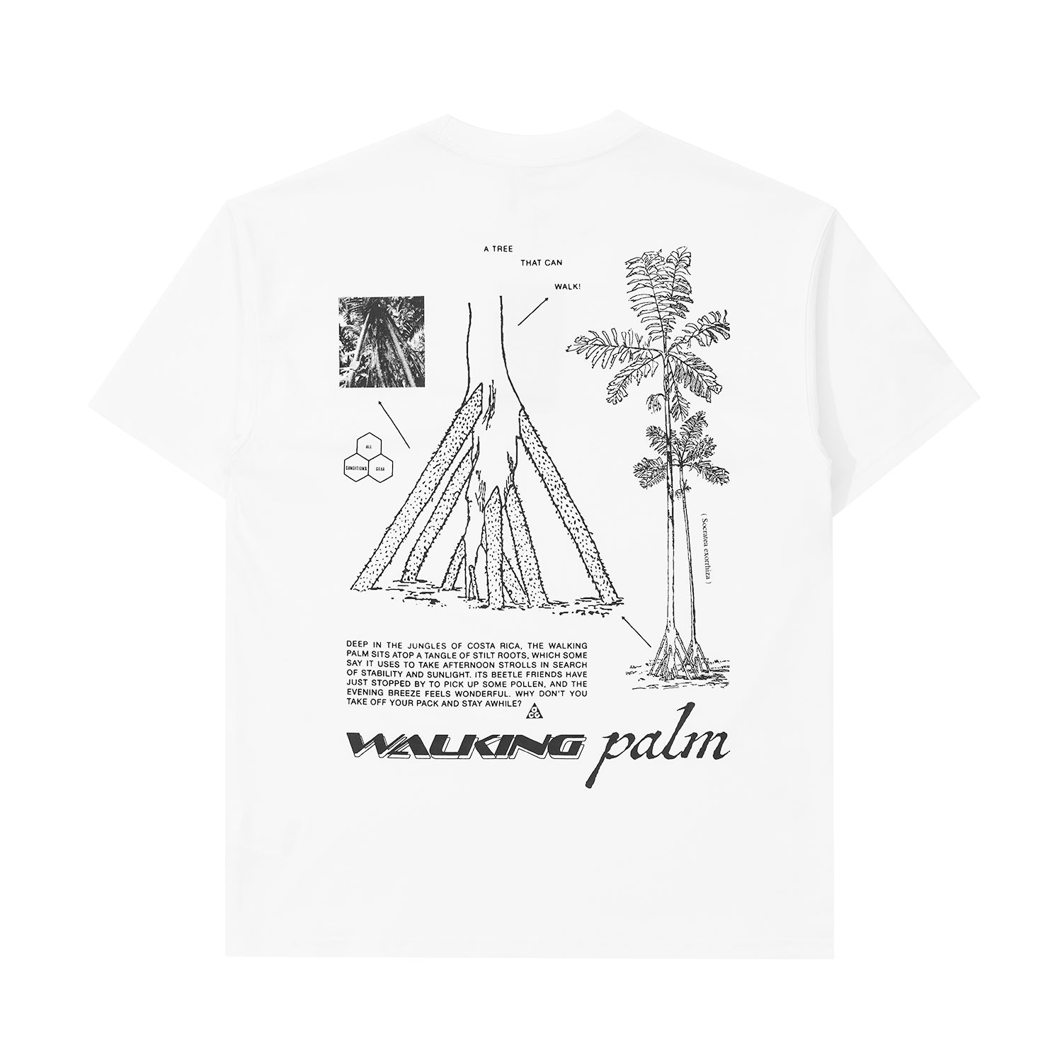 ACG 'Walking Tree' Men's Dri-FIT T-Shirt - INVINCIBLE