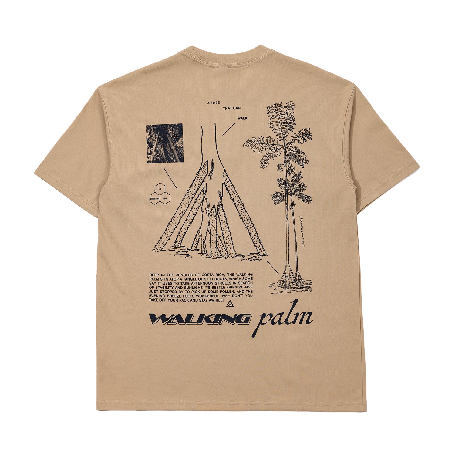 ACG 'Walking Tree' Men's Dri-FIT T-Shirt - INVINCIBLE