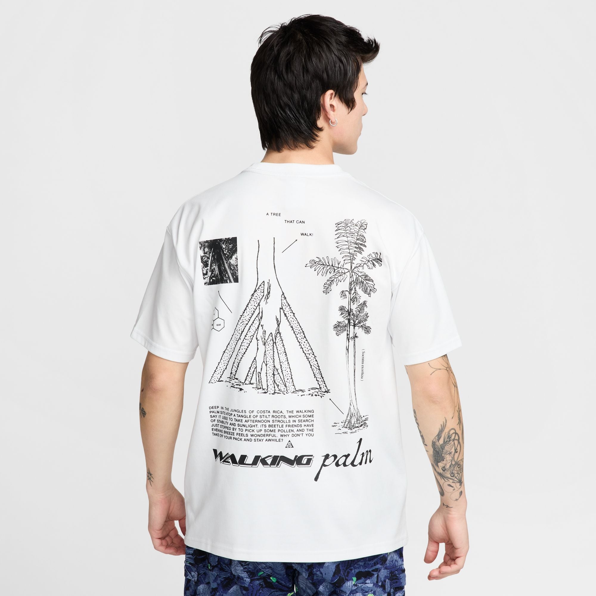 ACG 'Walking Tree' Men's Dri-FIT T-Shirt - INVINCIBLE