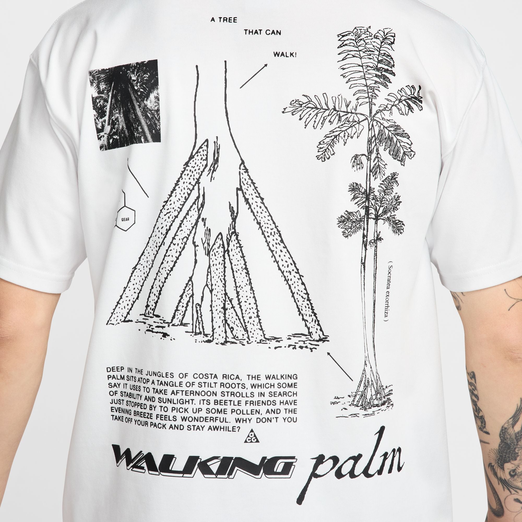 ACG 'Walking Tree' Men's Dri-FIT T-Shirt - INVINCIBLE