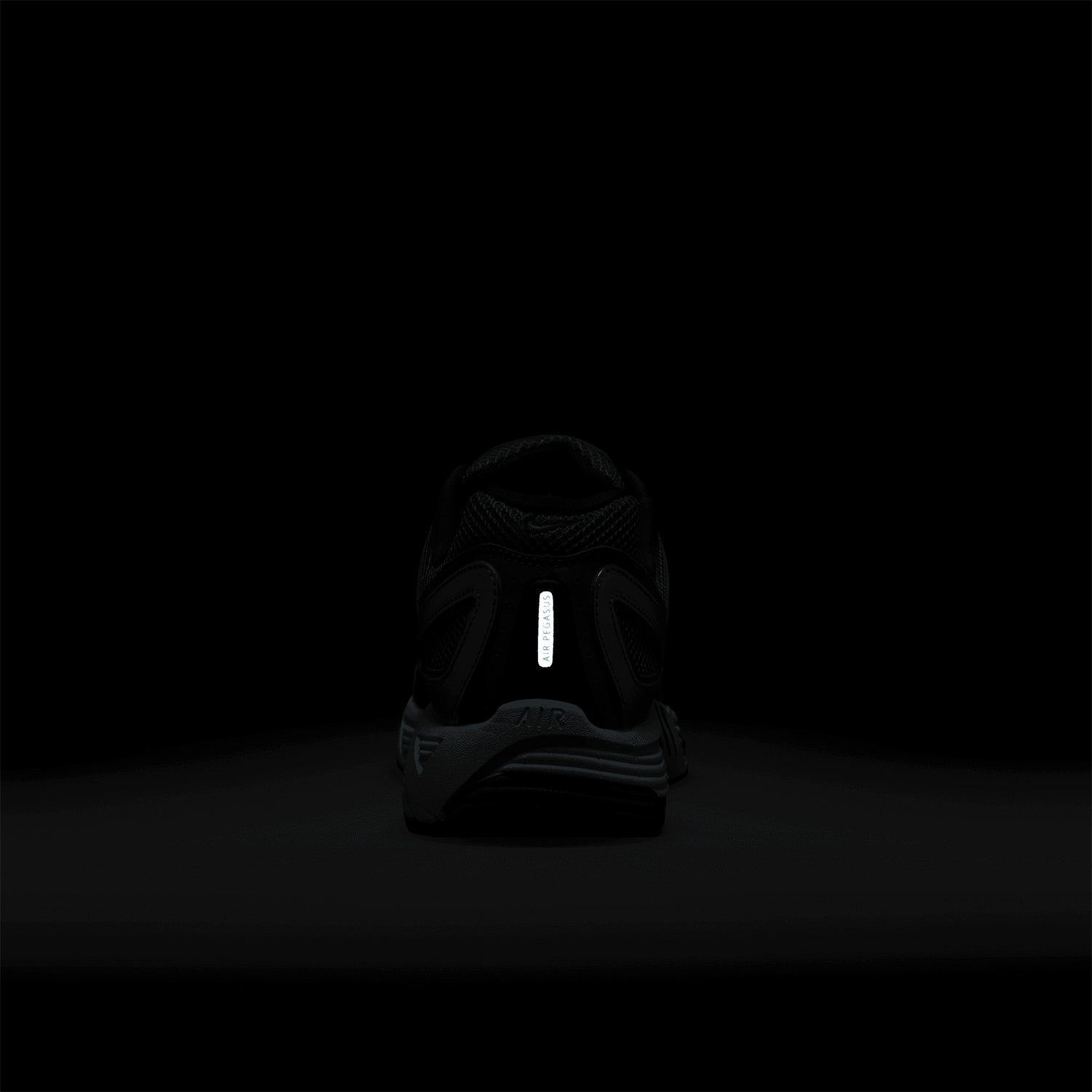 Air Pegasus 2K5 'Bicoastal' - INVINCIBLE