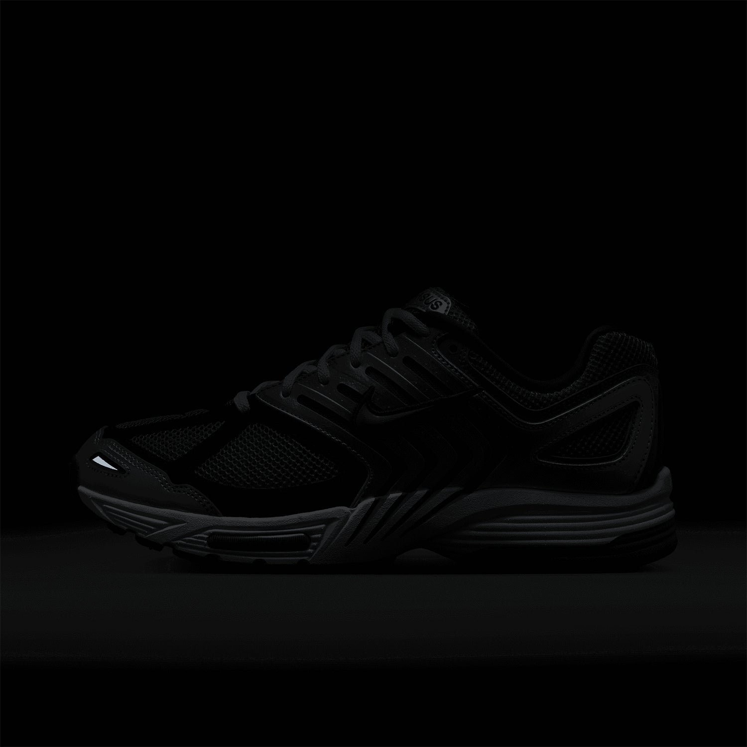 Air Pegasus 2K5 'Bicoastal' - INVINCIBLE