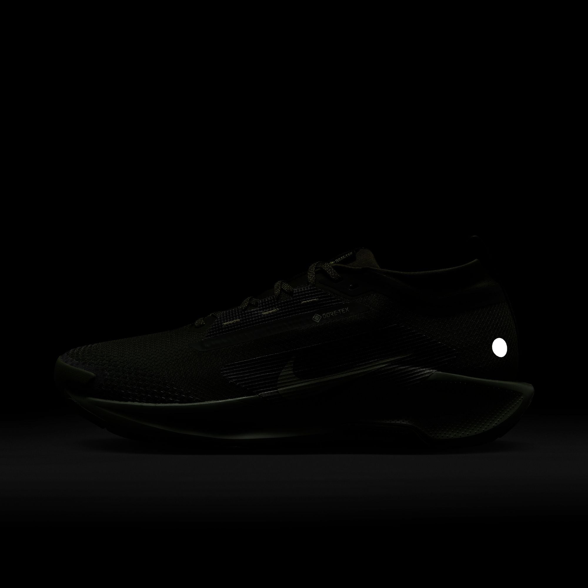 Pegasus Trail 5 GORE-TEX SP - INVINCIBLE