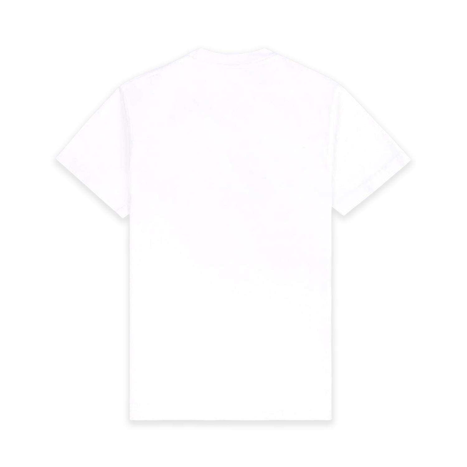 USA Wellness Club T-Shirt - INVINCIBLE