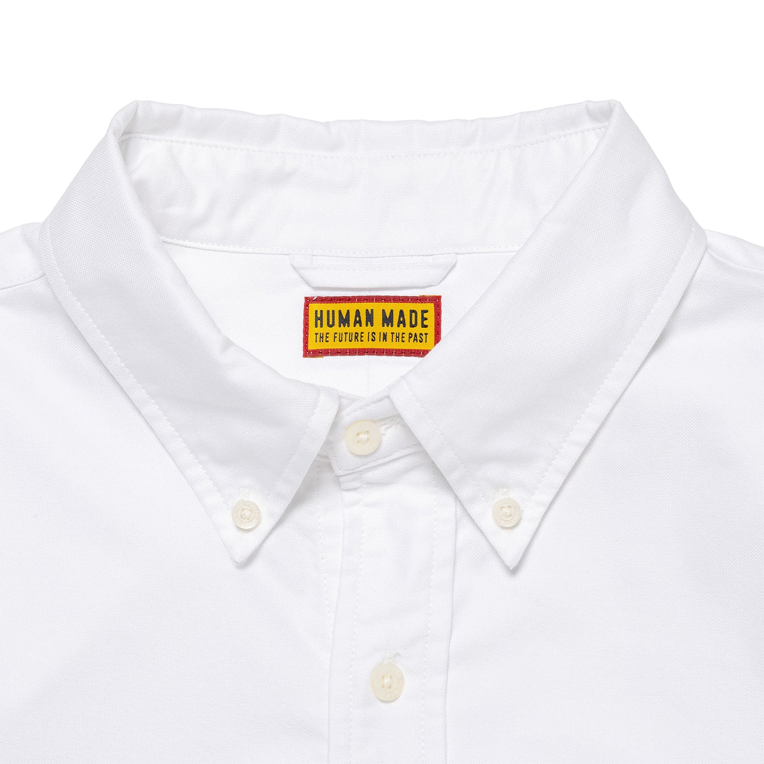 Oxford BD Shirt - INVINCIBLE