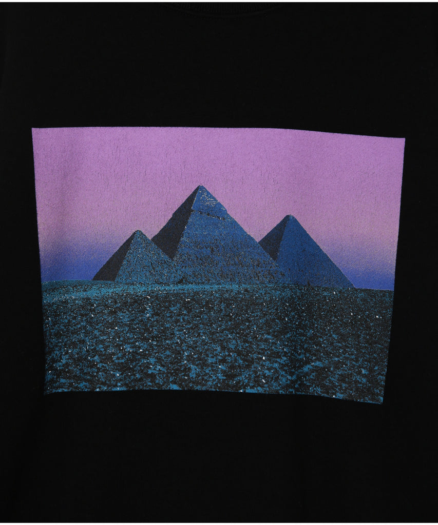 UC1C4891-3 Sweatshirt - INVINCIBLE