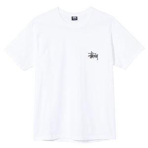 
                  
                    Basic Stussy Tee - INVINCIBLE
                  
                